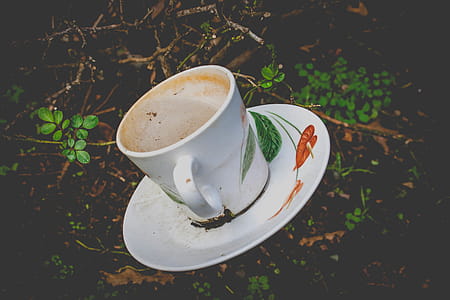 Photo of White and Green Ceramic Mug on Saucer thumbnail