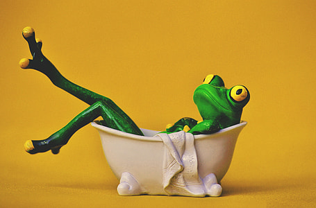 Frog bathing thumbnail