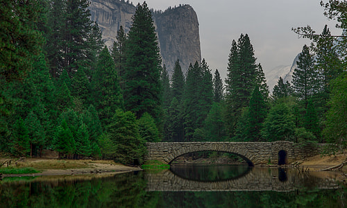concrete bridge over body of water surrounded with pine trees thumbnail