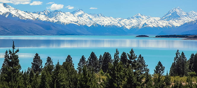 Green Pine Trees Near Body of Water during Daytime thumbnail