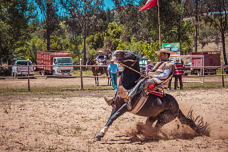man riding horse thumbnail