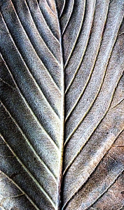 grey mat thumbnail