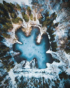 aerial photography of blue lake surrounded with trees during daytime thumbnail