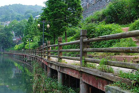 green trees near bridge thumbnail
