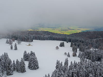 trees cover by snow near snow field thumbnail