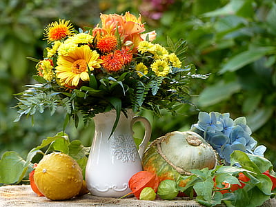 tilt-shift lens photography of flowers and vegetables thumbnail