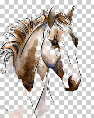 American Paint Horse Watercolor painting Horses in art Equestrianism, horse, brown horse illustration PNG clipart