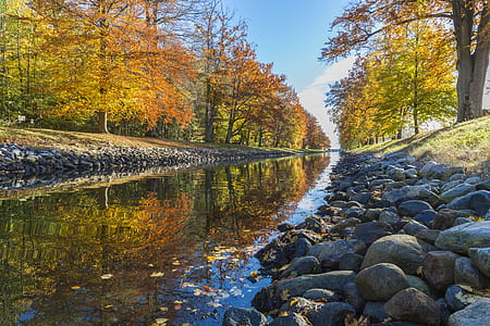 body of water between trees thumbnail