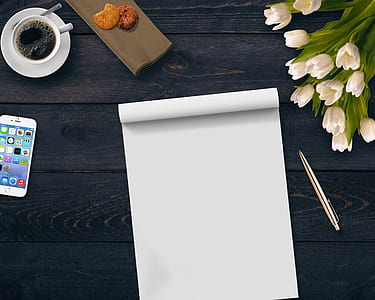 white paper beside silver pen thumbnail