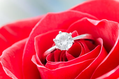 Macro Shot of Solitaire Ring on Flower thumbnail