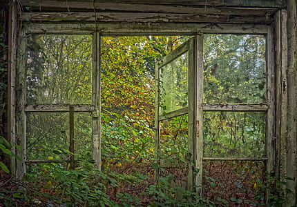 opened window and surrounded by plants thumbnail