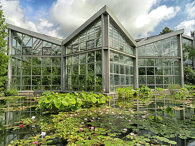 gray greenhouse effect thumbnail