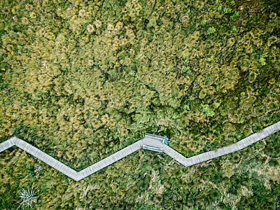 footpath, drone view, grass, walkway thumbnail