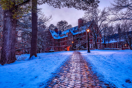 red and white house in forest during winter thumbnail