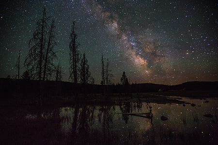 landscape photograp of trees under the stars during night time thumbnail