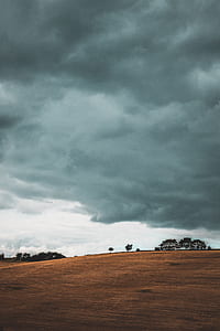 brown soil field under cloudy sky thumbnail