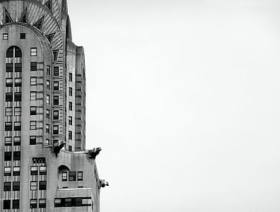 grayscale photography of concrete building at daytime thumbnail