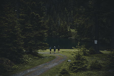 three person in near lake during daytime thumbnail