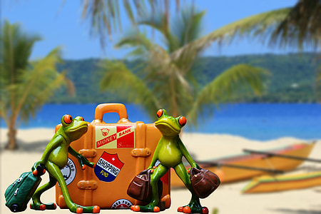 two green frogs holding baggage near orange suitcase on beach thumbnail
