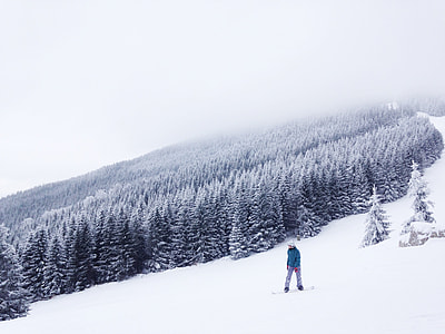 man in blue long sleeved shirt using snowboard behind snow covered trees during daytime thumbnail
