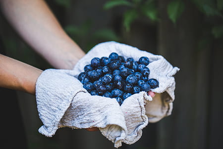 food, healthy, hands, summer thumbnail