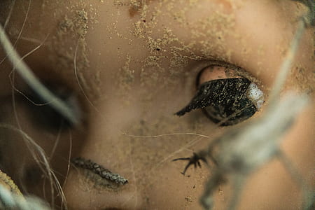 doll closeup photography thumbnail