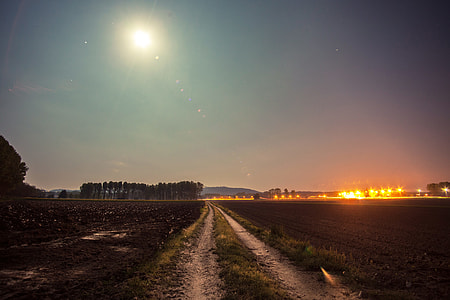 field of green grass during night time thumbnail