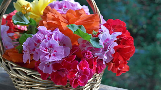 assorted-colored petaled flowers in brown wicker baskets thumbnail