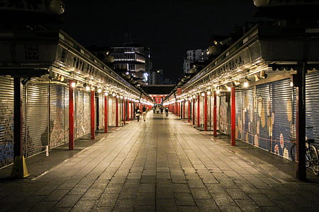 people walking in the city during nightime thumbnail
