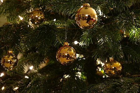 shallow focus photography of gold bauble hanging on green Christmas tree thumbnail