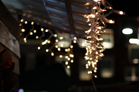 yellow string lights hanging on ceiling thumbnail