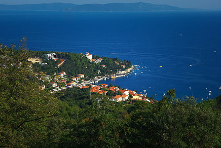 aerial photography of village and trees near blue body of water thumbnail