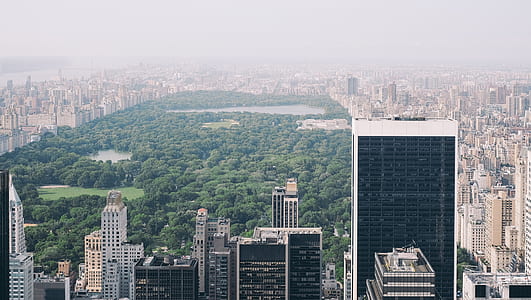 New York Central Park, U.S.A. during daytime thumbnail