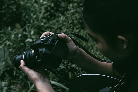 Person Holding Black Dslr Camera thumbnail