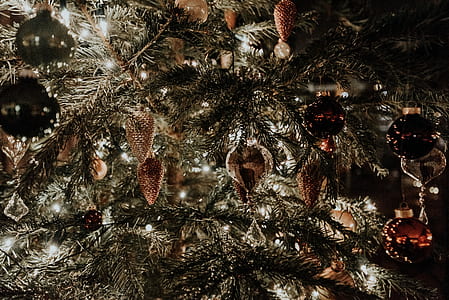 assorted-colored baubles hanged on tree thumbnail