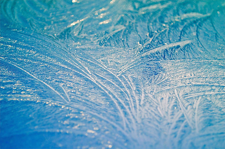 morning, frost, ice, seasons, macro, background thumbnail