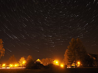 brown and black lighted trees under gray sky at nighttime thumbnail