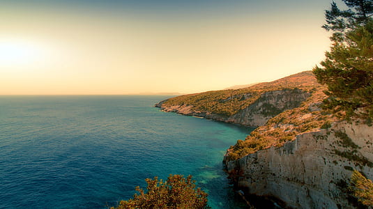 green trees on cliff near body of water thumbnail