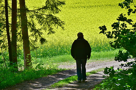 person walking between plants thumbnail