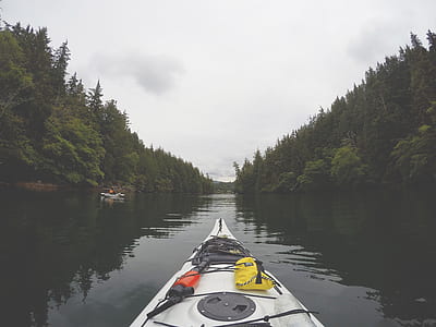 white and black boat on body of water thumbnail
