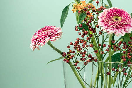 selective focus photography of pink daisies centerpiece thumbnail