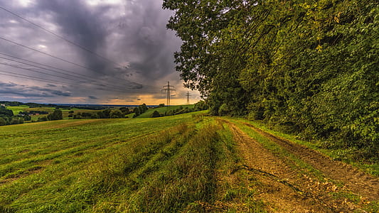 green grass field with humid weather thumbnail