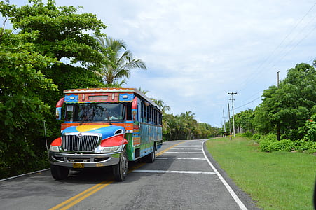 multicolored bus on the road thumbnail