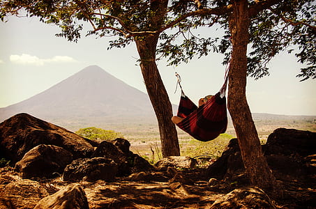 person lying on brown hammock in between two trees during daytime thumbnail