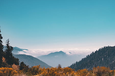 Mountain Covering Clouds thumbnail