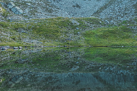 Green Grass Field Painting thumbnail
