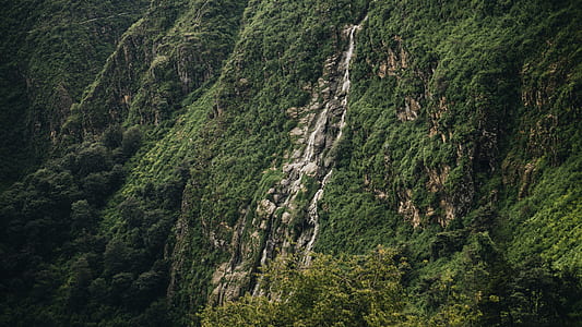 waterfalls surrounded by trees thumbnail