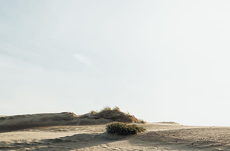 white sand under white sky during daytime thumbnail