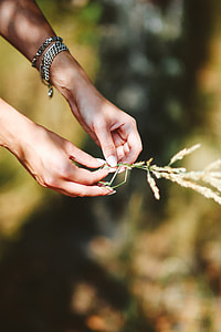 Woman in a grey crop top shirt holding wheat thumbnail
