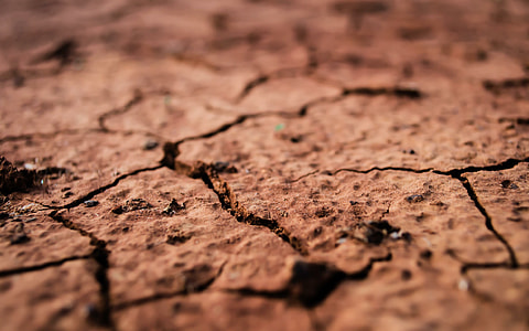 photo of brown dried soils thumbnail